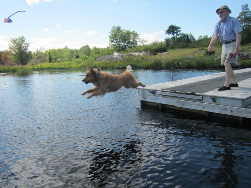 Water Dog - Lietash Canine Academy